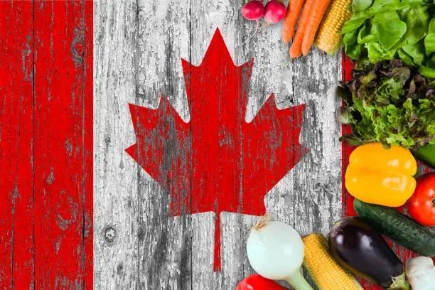 Strengthening Food Security in Canada: Why Local Food Matters