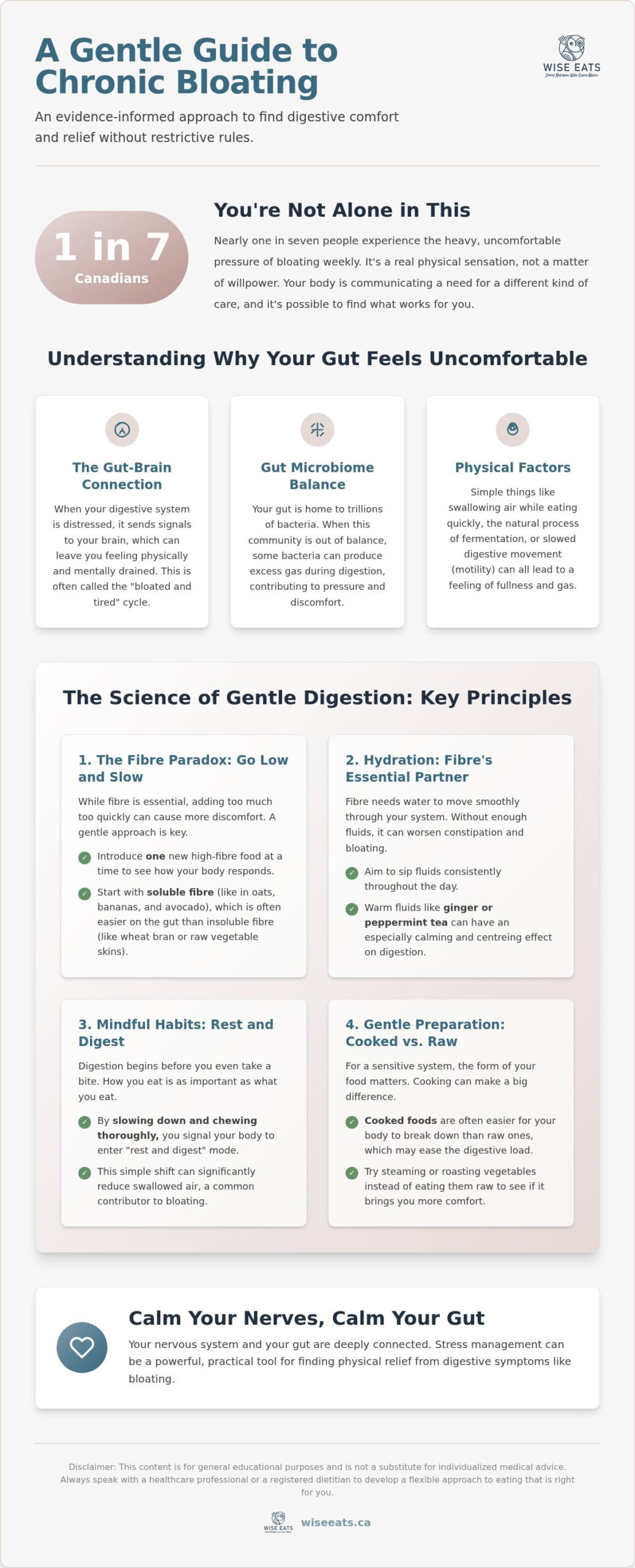 What to Eat for Chronic Bloating: A Compassionate Guide to Gentle Digestion