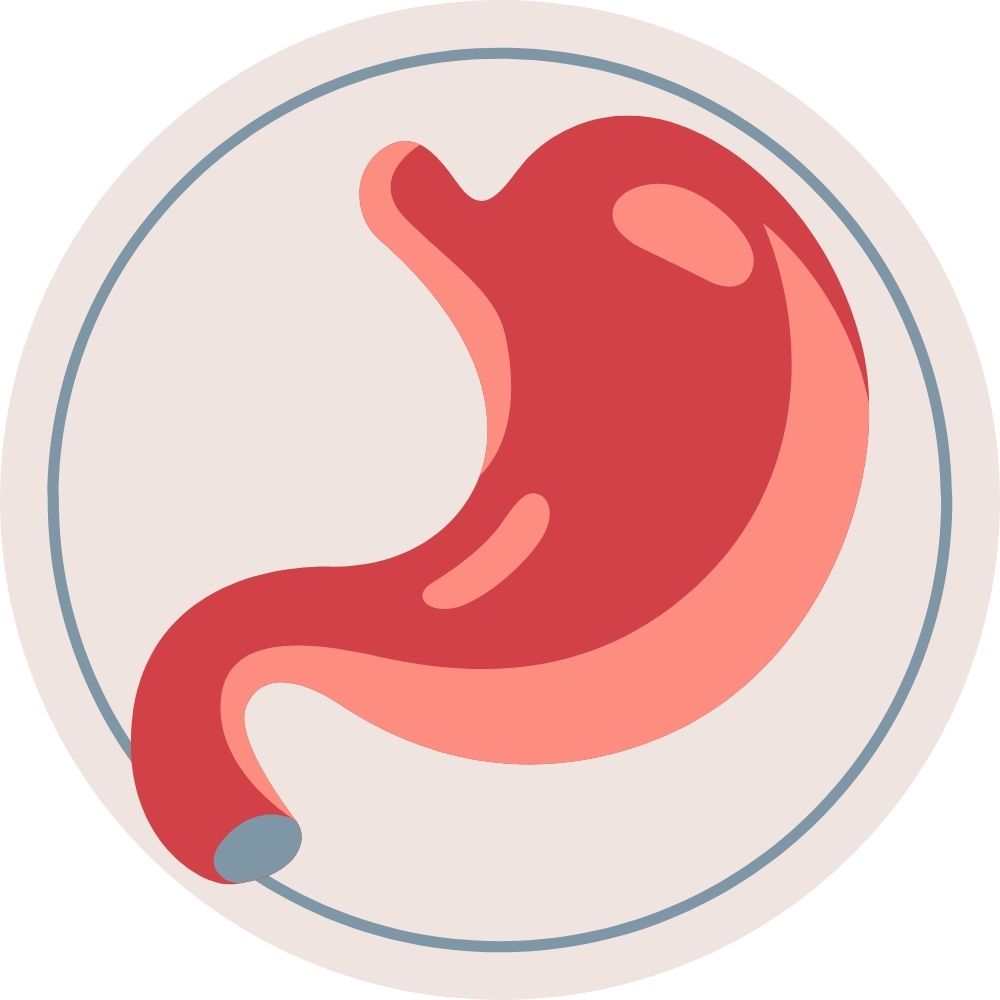 Digestion Problems